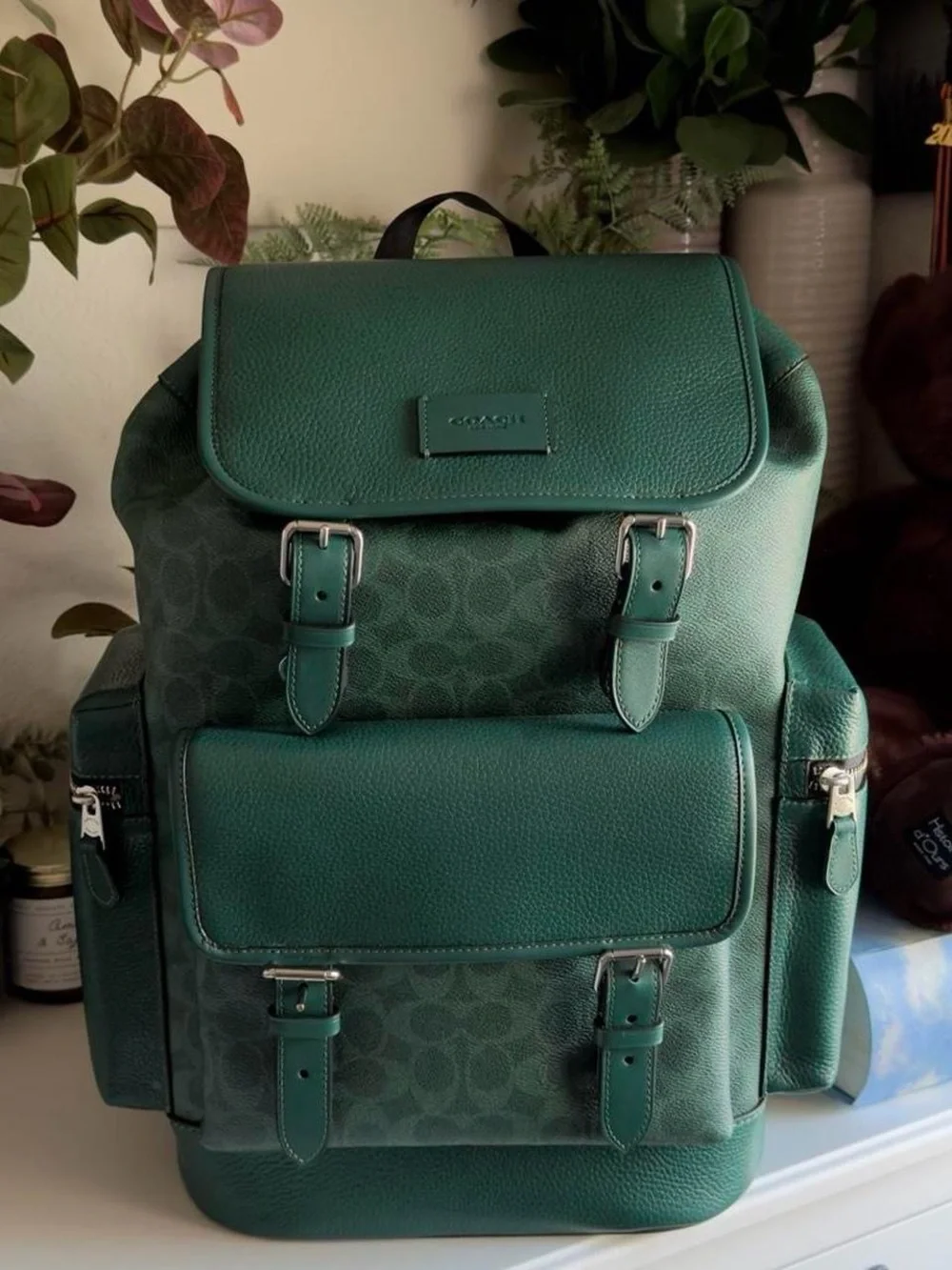 Coach Green Signature Canvas & Leather Backpack